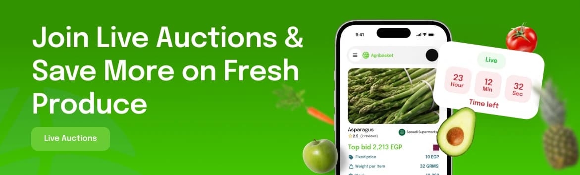 homepage carousel image