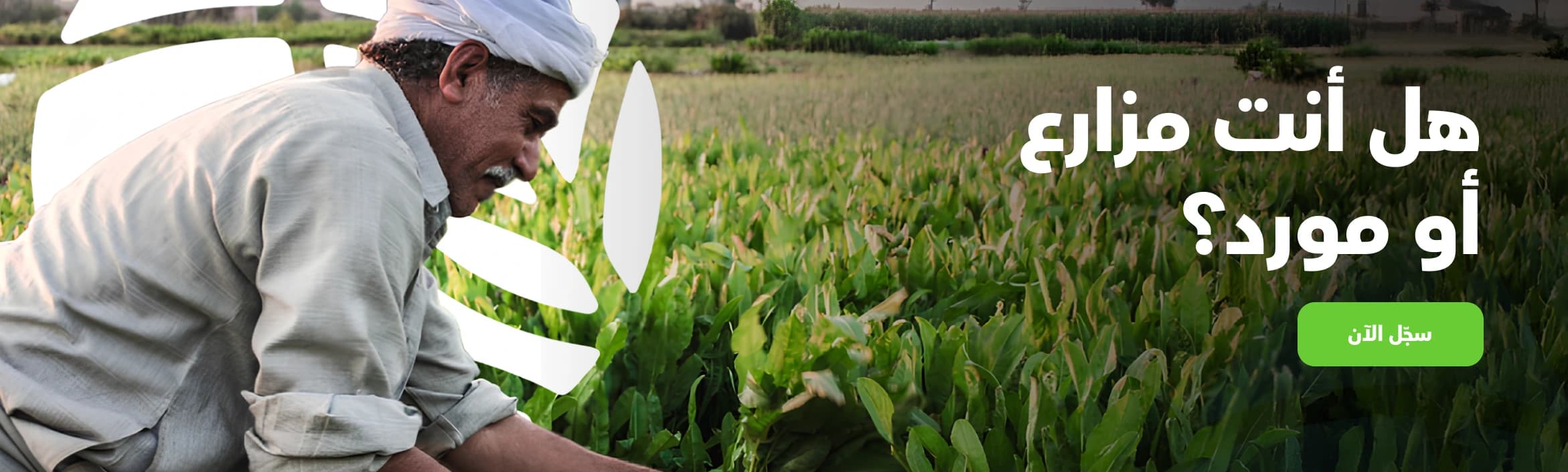 homepage carousel image