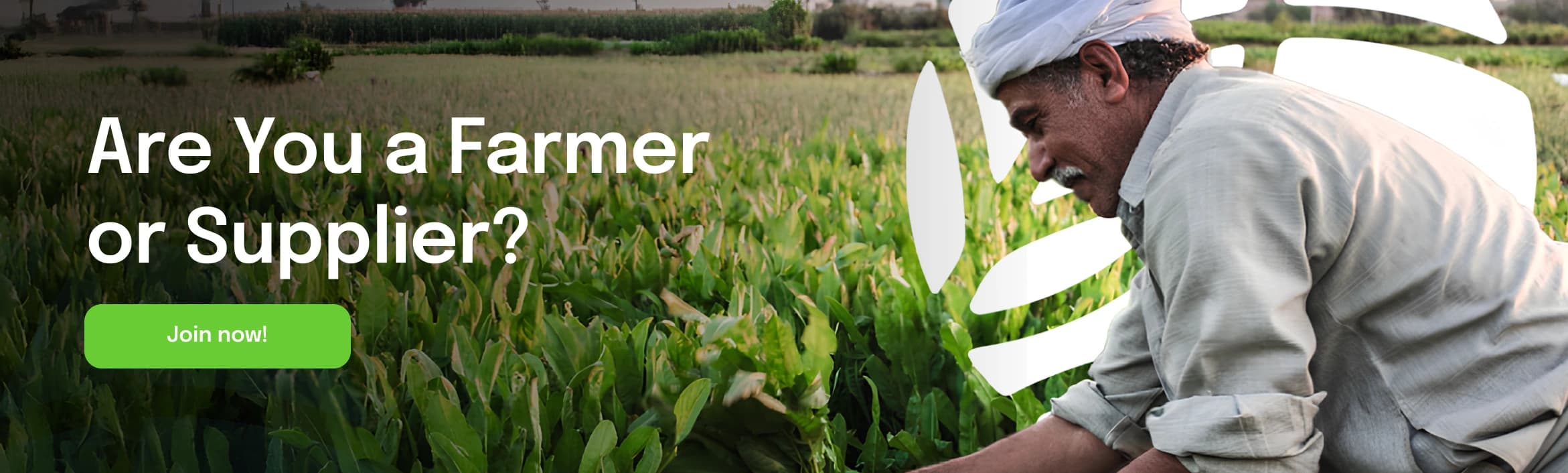 homepage carousel image