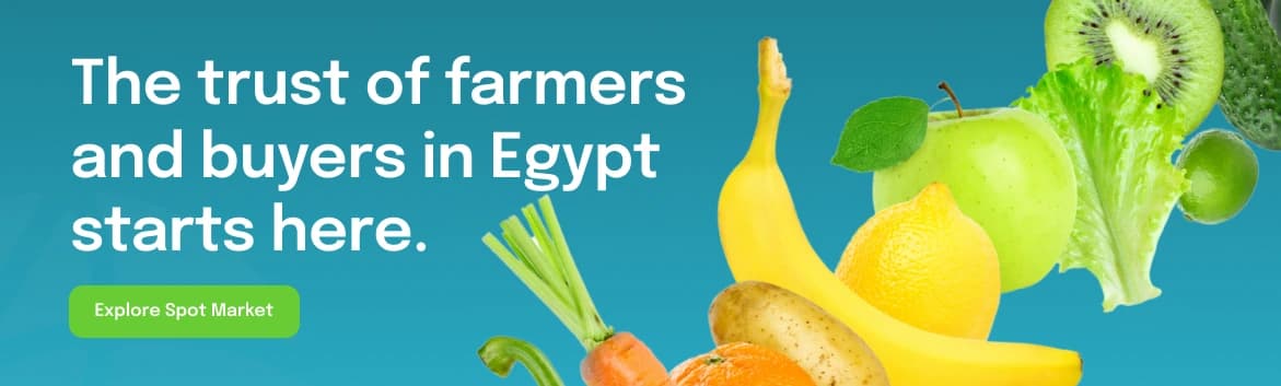 homepage carousel image